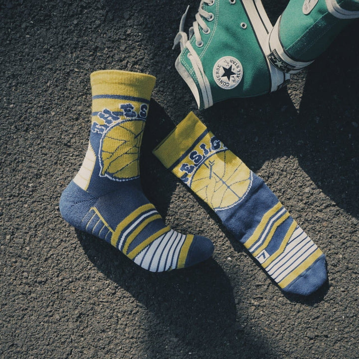 Arrow To The Knee | Stayhoops x The SIGIT